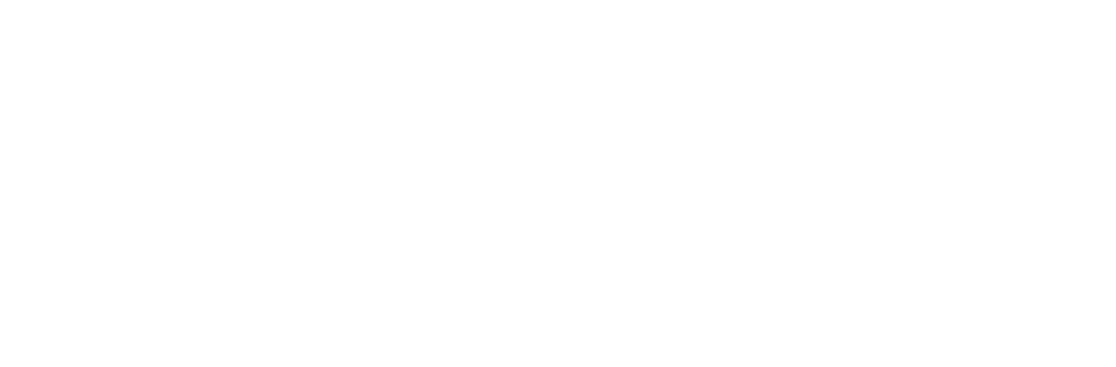 Logo Google wit